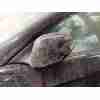 Recambio de retrovisor izquierdo para bmw 3 coupé (e92) 320 d referencia OEM IAM   