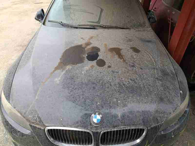 Recambio de capo para bmw 3 coupé (e92) 320 d referencia OEM IAM   