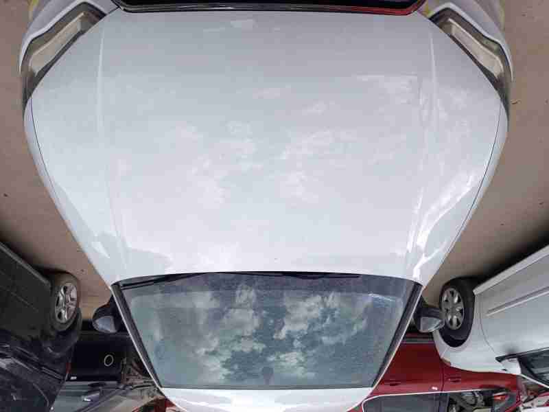 Recambio de capo para audi a3 (8v1, 8vk) 2.0 tdi referencia OEM IAM   