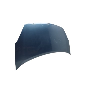 Recambio de capo para citroën berlingo station wagon seduction referencia OEM IAM 7901P7  