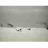 Recambio de tubo para fiat 500 (312_) 1.2 (312axa1a) referencia OEM IAM 52060986  