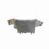 Recambio de kit airbag para citroën berlingo feel pack m referencia OEM IAM 98534991ZD  