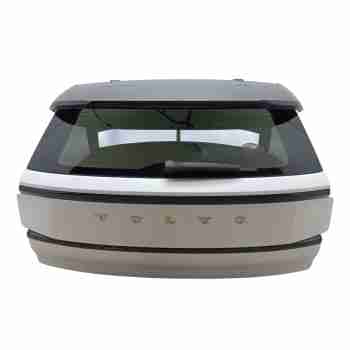 PORTON TRASERO 80010818 / 80036551 