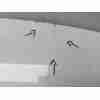 Recambio de porton trasero para seat arona (kj7, kjp) 1.0 tsi referencia OEM IAM 6F9827023C  