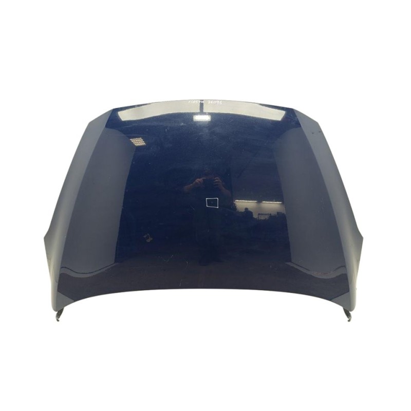 Recambio de capo para ford fiesta (ce1) trend referencia OEM IAM 2508883  