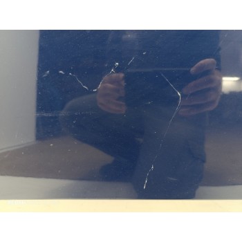 Recambio de capo para ford fiesta (ce1) trend referencia OEM IAM 2508883  