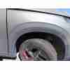 Recambio de aleta delantera derecha para omoda 5 1.6 tgdi 186 cv referencia OEM IAM 553000313AADYJ  