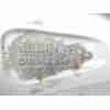 Recambio de llanta para opel combo tour (x12) 1.6 cdti (c26, d26, e26, c05) referencia OEM IAM 51986286 95518229 