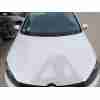 Recambio de capot delantero para volkswagen golf plus v (5m1, 521) 1.6 tdi referencia OEM IAM 5K0823031G  
