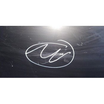 Recambio de capo para audi a4 berlina (8e) referencia OEM IAM   