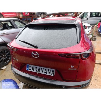 PORTON TRASERO DGY16202XA 