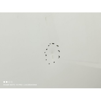 Recambio de capo para ford kuga (cbs) st-line referencia OEM IAM 2315693  