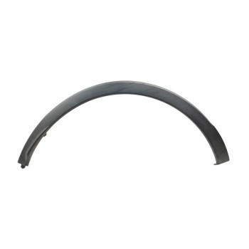 ALETIN TRASERO DERECHO 788A20643R 