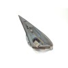 Recambio de retrovisor izquierdo para nissan almera (n16/e) acenta referencia OEM IAM K6302BN2MA  