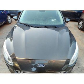 Recambio de capo para ford focus trend edition referencia OEM IAM 2513128  