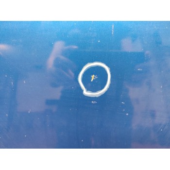 Recambio de capo para renault scenic iii dynamique referencia OEM IAM   