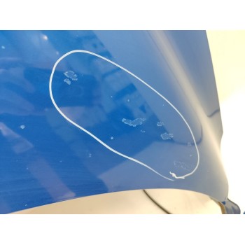 Recambio de capo para renault scenic iii dynamique referencia OEM IAM   