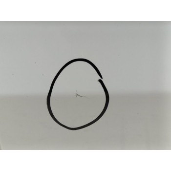 Recambio de puerta trasera izquierda para ford c-max (ceu) trend plus referencia OEM IAM PE1C1R24631AB  