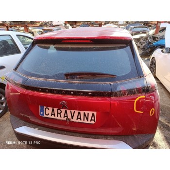 PORTON TRASERO 9831045880 