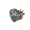 Recambio de caja cambios para dacia sandero laureate referencia OEM IAM JR5336  