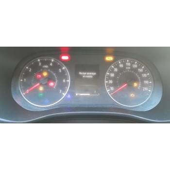 CUADRO INSTRUMENTOS 248094488R 