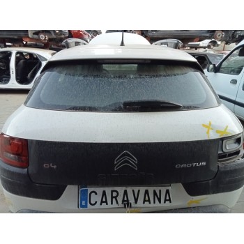 PORTON TRASERO 9800805380 