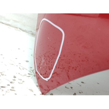 Recambio de capo para fiat nuova 500 (150) dolce vita referencia OEM IAM 52009424  