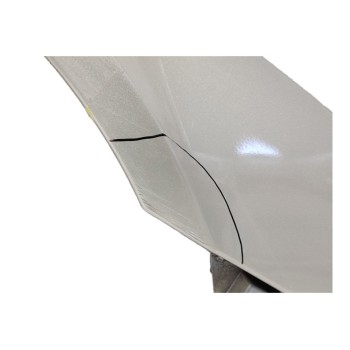 Recambio de aleta delantera derecha para renault laguna ii (bg0) expression referencia OEM IAM 8201094795  