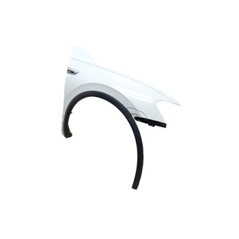 Recambio de aleta delantera derecha para volkswagen tiguan sport bmt referencia OEM IAM 5NA821106B  