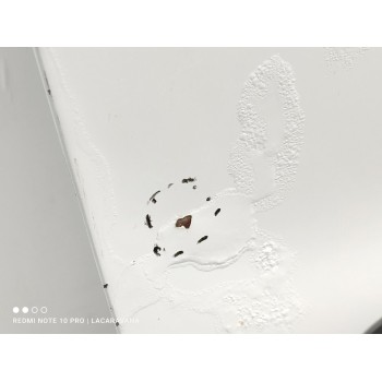 Recambio de puerta lateral corredera derecha para peugeot partner kasten confort l1 referencia OEM IAM 9008S3  