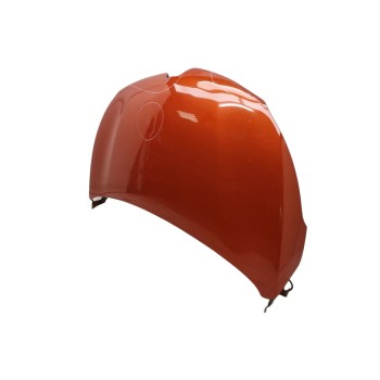 Recambio de capo para renault captur expression referencia OEM IAM 651000391R  