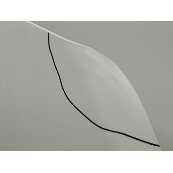 Recambio de capo para ford transit connect combi 230 l2 trend referencia OEM IAM 2403629  