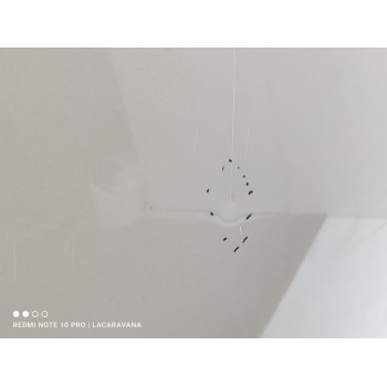 Recambio de capo para suzuki vitara 1.0 t gle 4wd referencia OEM IAM 5730054P00  