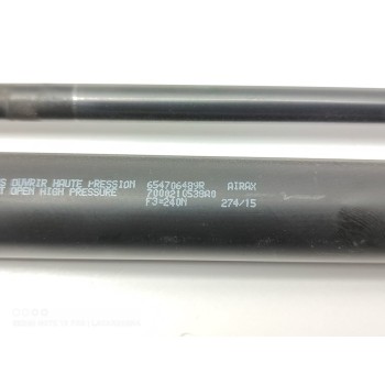 Recambio de amortiguadores capo para renault kangoo profesional referencia OEM IAM 654706489R  