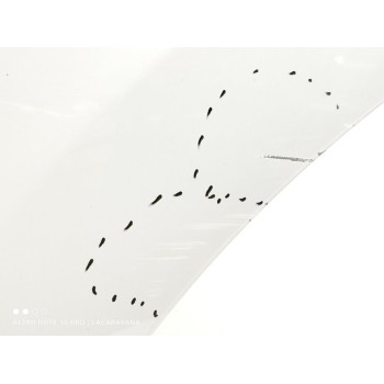 Recambio de puerta trasera izquierda para citroën c3 collection referencia OEM IAM 9002CC  