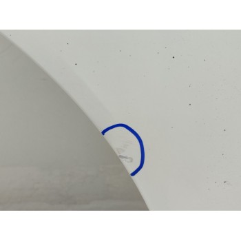 Recambio de puerta trasera derecha para nissan qashqai (j10) acenta referencia OEM IAM H2152JD0M0  