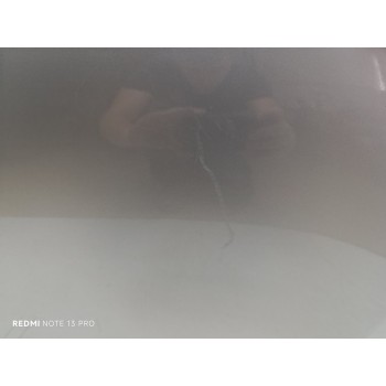 Recambio de puerta trasera izquierda para skoda fabia combi active referencia OEM IAM 6V9833055A  