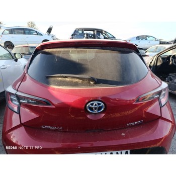 PORTON TRASERO 6700502610 