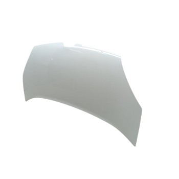 Recambio de capo para renault kangoo profesional referencia OEM IAM 651001209R  