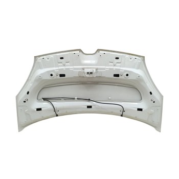 Recambio de capo para renault kangoo profesional referencia OEM IAM 651001209R  