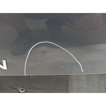 Recambio de porton trasero para volkswagen tiguan (ax1) life referencia OEM IAM 5NA827025M  