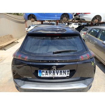 PORTON TRASERO 9831045880 