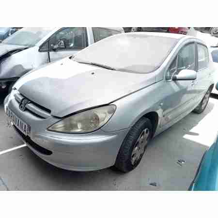 PEUGEOT 307 (S1)