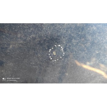 Recambio de capo para volkswagen t5 bus caravelle (batalla larga) referencia OEM IAM   