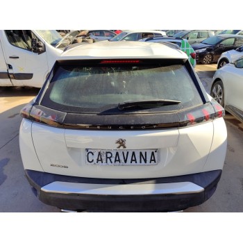 PORTON TRASERO 9831045880 