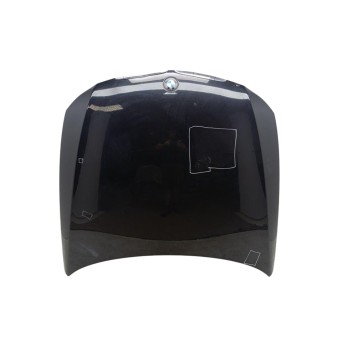 Recambio de capo para bmw serie 3 berlina (e90) referencia OEM IAM 41617140729  