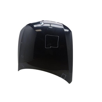 Recambio de capo para bmw serie 3 berlina (e90) referencia OEM IAM 41617140729  