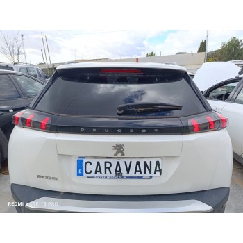 PORTON TRASERO 9831045880 