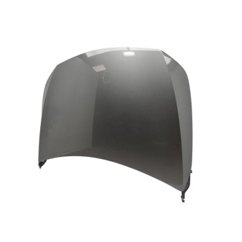 Recambio de capo para mercedes-benz clase a (bm 177) a 200 (177.087) referencia OEM IAM A1778801800  