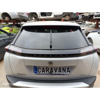 PORTON TRASERO 9831045880 